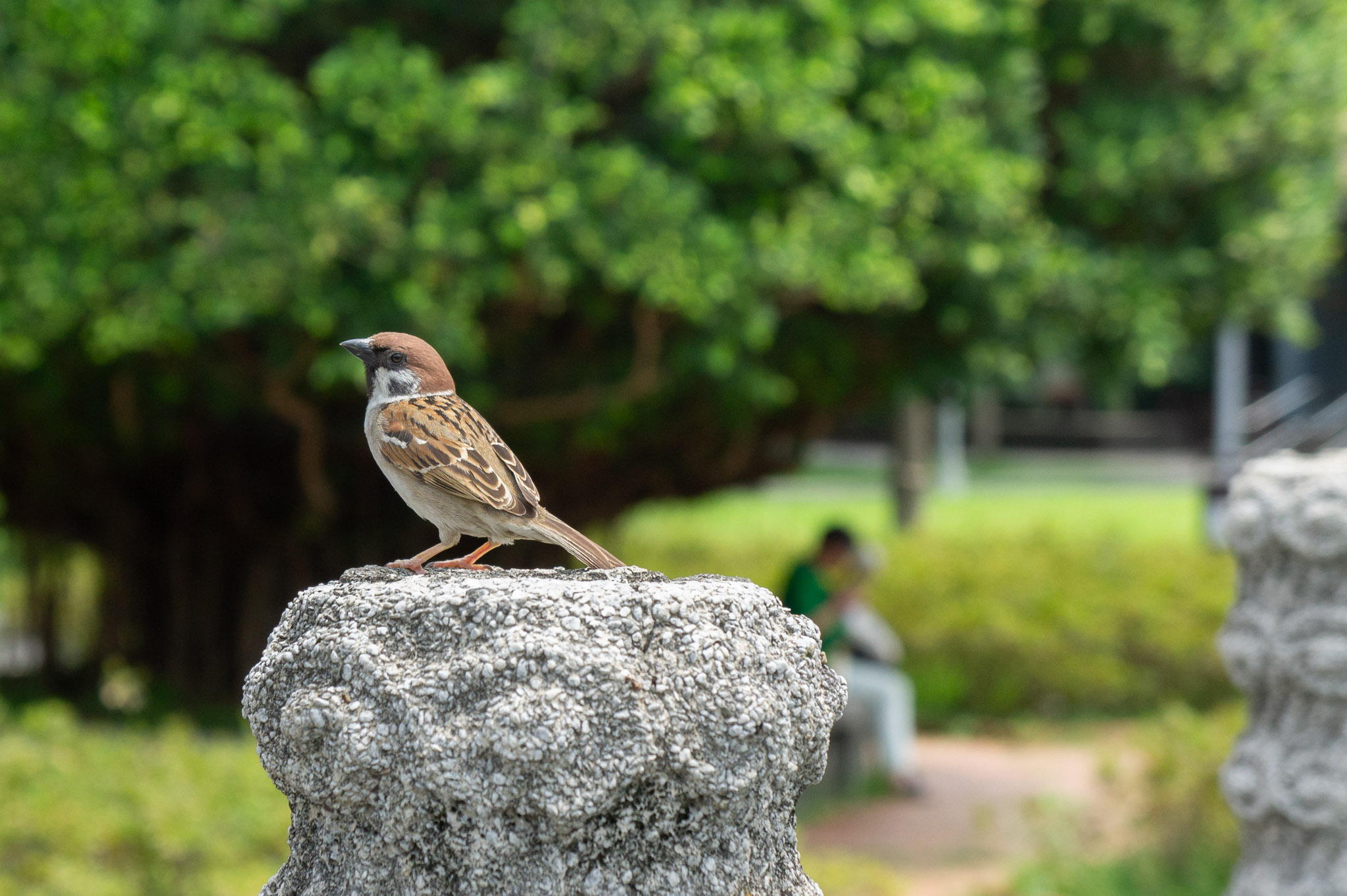 Taipei Park